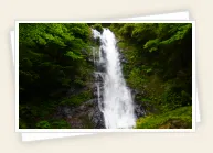 瀬戸の滝ウォーキング宿泊プラン